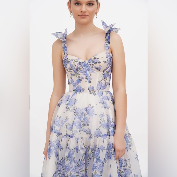 Hydrangea Tender floral maxi tie-strap dress - Picture 4 of 15